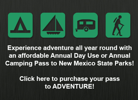 Annual Pass